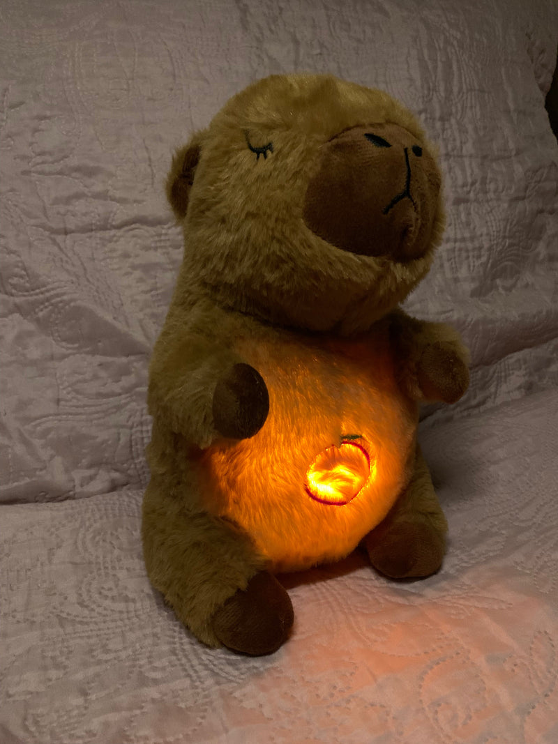 Capibara Bearriguinha - Conforto