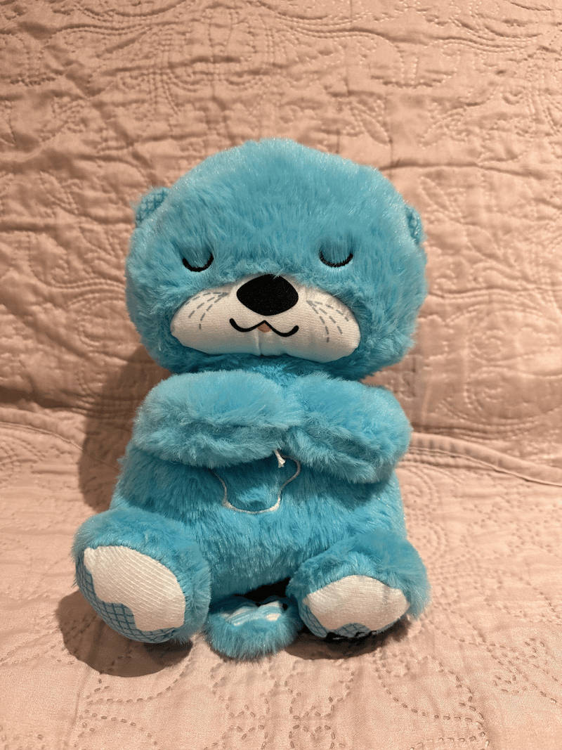 Bearriguinha Azul