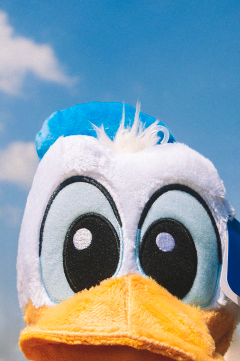 Pelúcia Pato Donald Bebê
